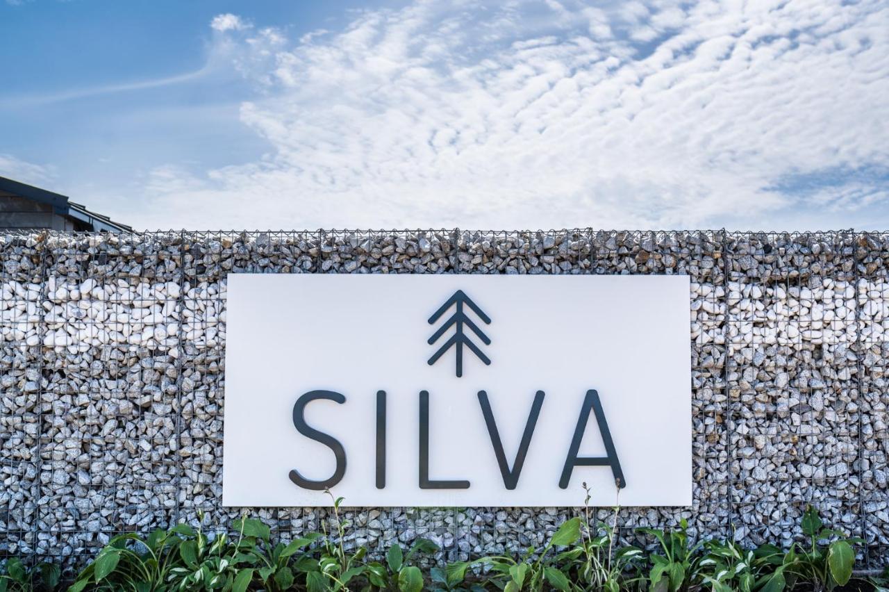 Holiday home Silva *